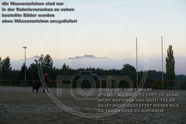 s_K3F09212.JPG